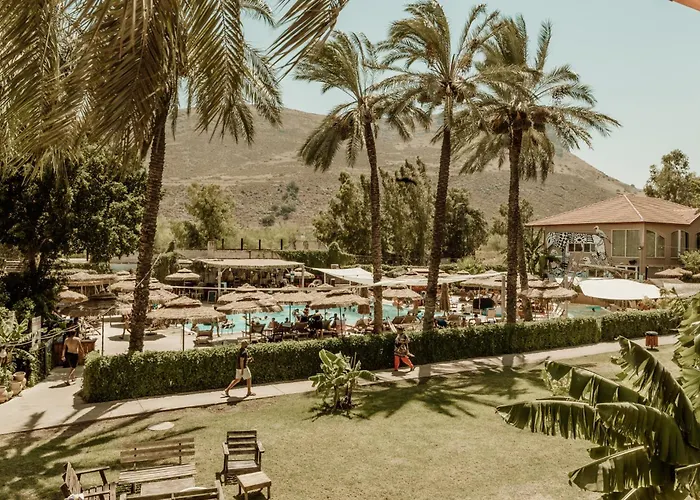 Solaya Kineret